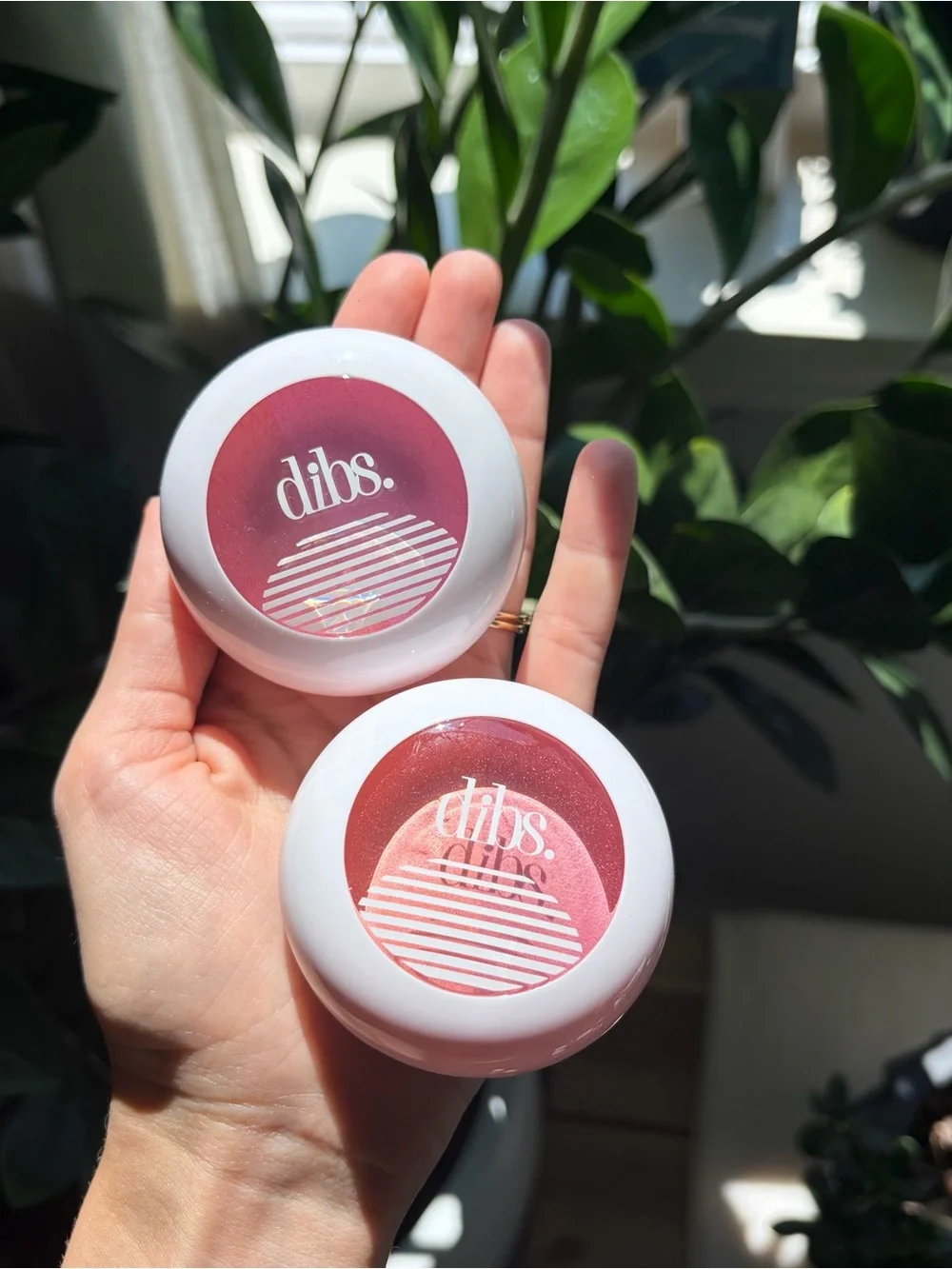 Dibs used only